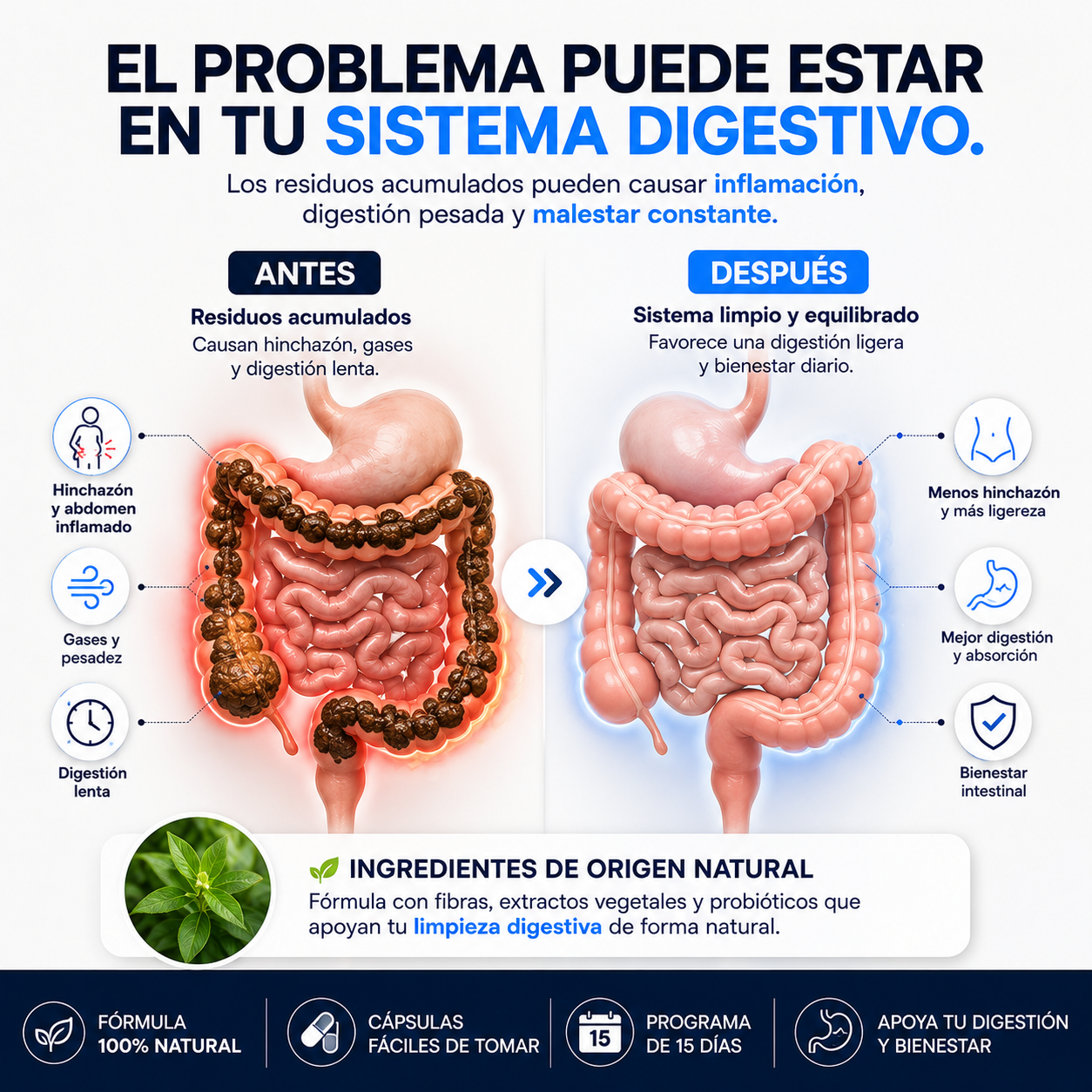 Zesty™ │Suplemento Digestivo Limpieza 15 Días