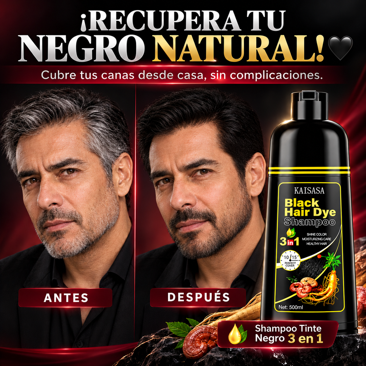 Shampoo Tinte Negro 3 en 1 | Cubre Canas y Recupera tu Color 500 ml